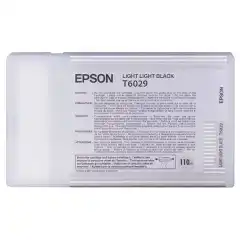 Epson Blekkpatron T6029 Lys Lys Sort (110ml)
