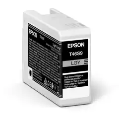 Epson Blekkpatron T46S9 Lys Grå (25ml)